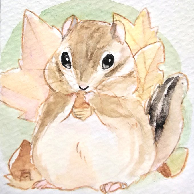 「hamster squirrel」 illustration images(Latest)