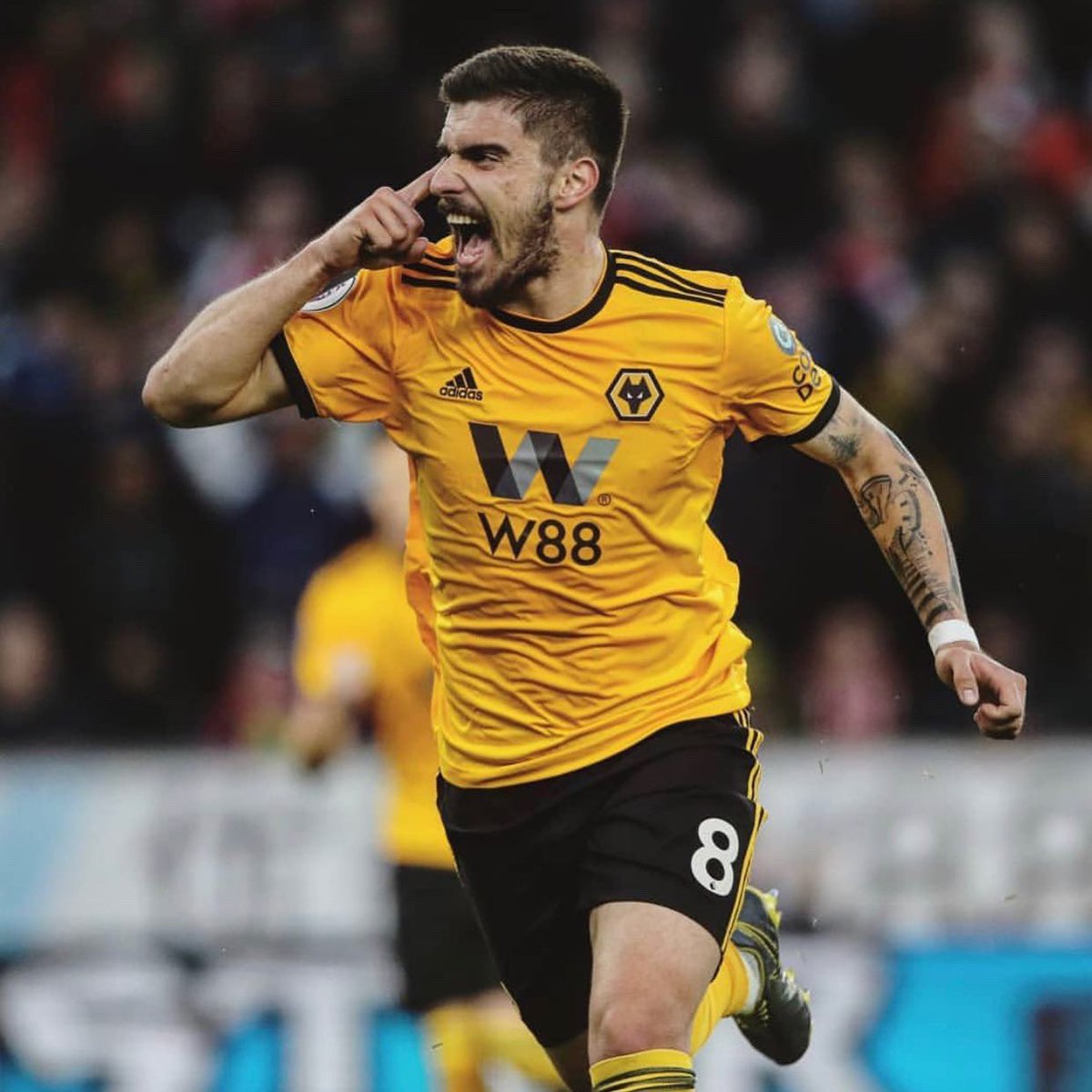 WolvesFC_Spain tweet picture