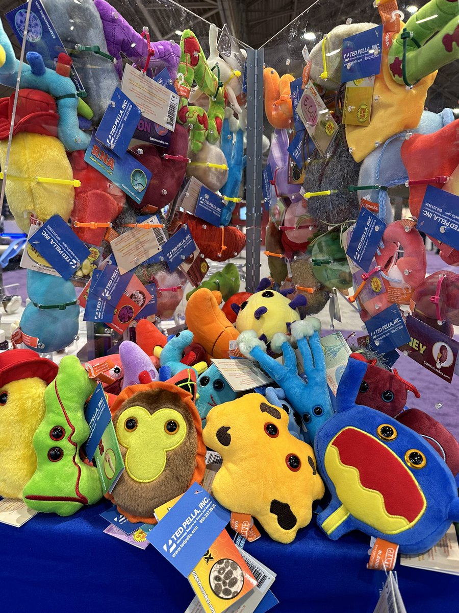 We are ready for you USCAP!!!