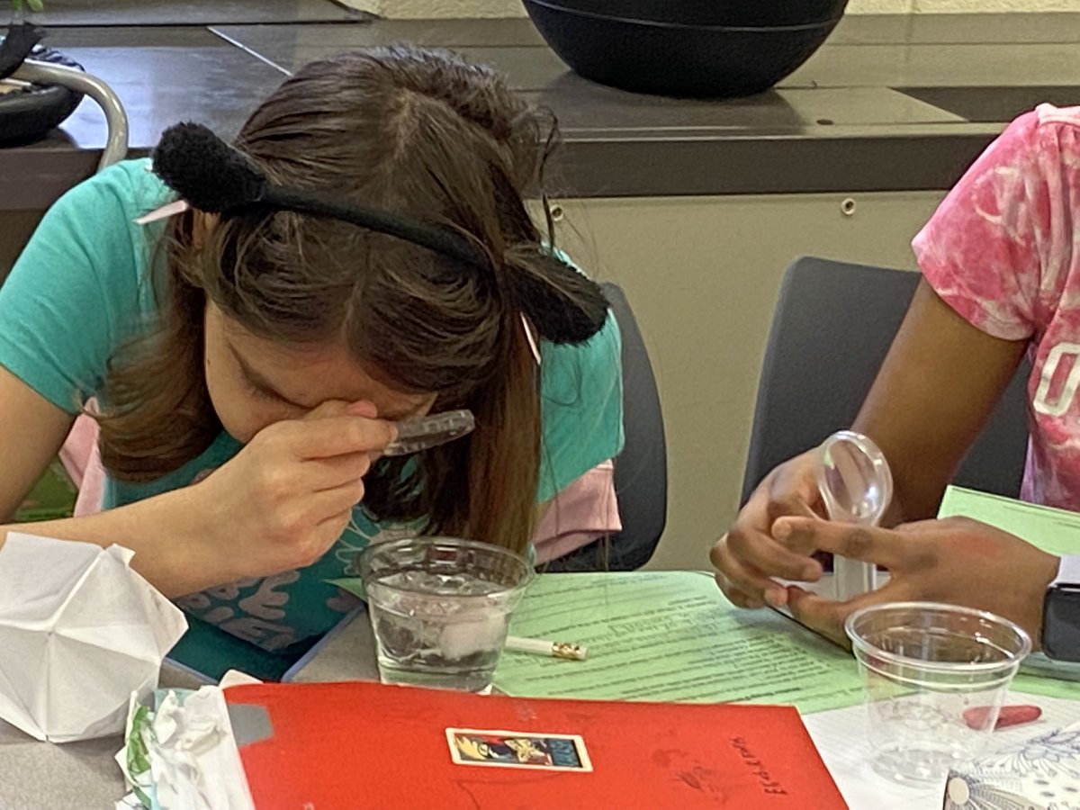 vandesampel77's tweet photo. #Science @HanoverHuskies #Observation #Hypothesize #communication https://t.co/AfUy1Zy1JX