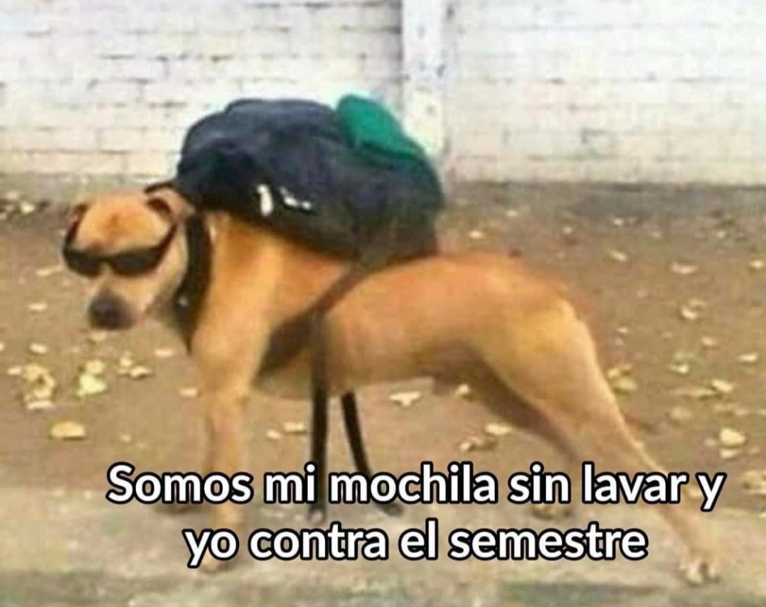 Out Of Context Externado (@outofcontexter1) on Twitter photo 