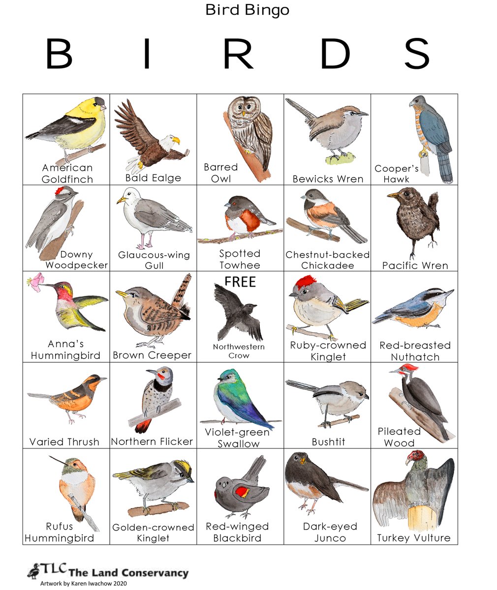 TLC4BC's tweet photo. It's Spring Break! Need activities to get your kiddo outside? Try printable our bird-bingo activity! Browse our website's Education Hub for more activities: https://t.co/pnys7TUx8V
--
#SpringBreak #BCSchools #GetOutside #NatureActivities #KidNaturalists https://t.co/pWtx8VNCB5