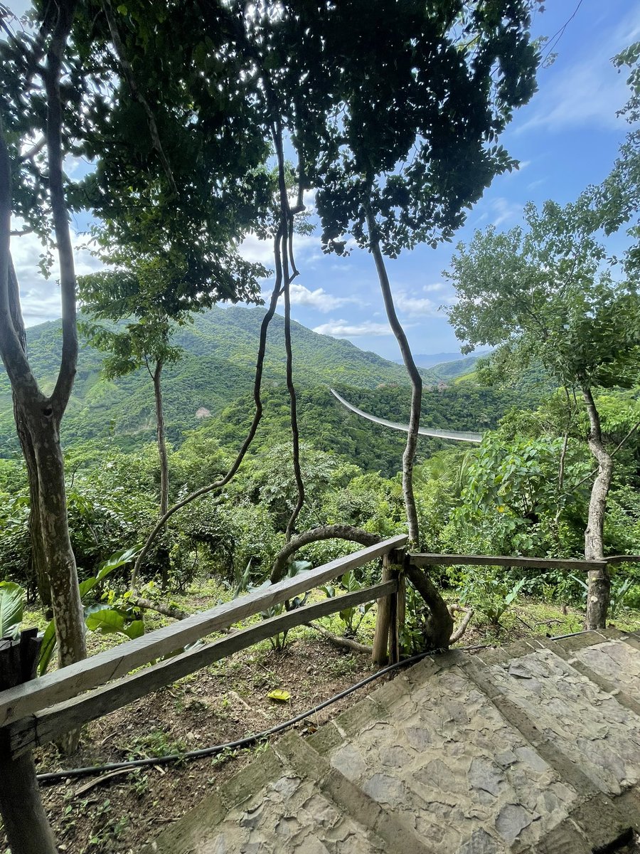 cuatro___'s tweet photo. 📍 Vallarta https://t.co/3HL2Ff8qir