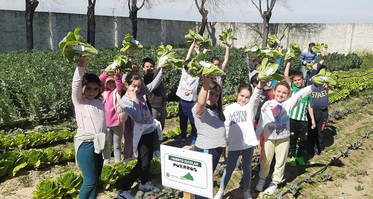 CEIP Francisco Alcalá tweet media