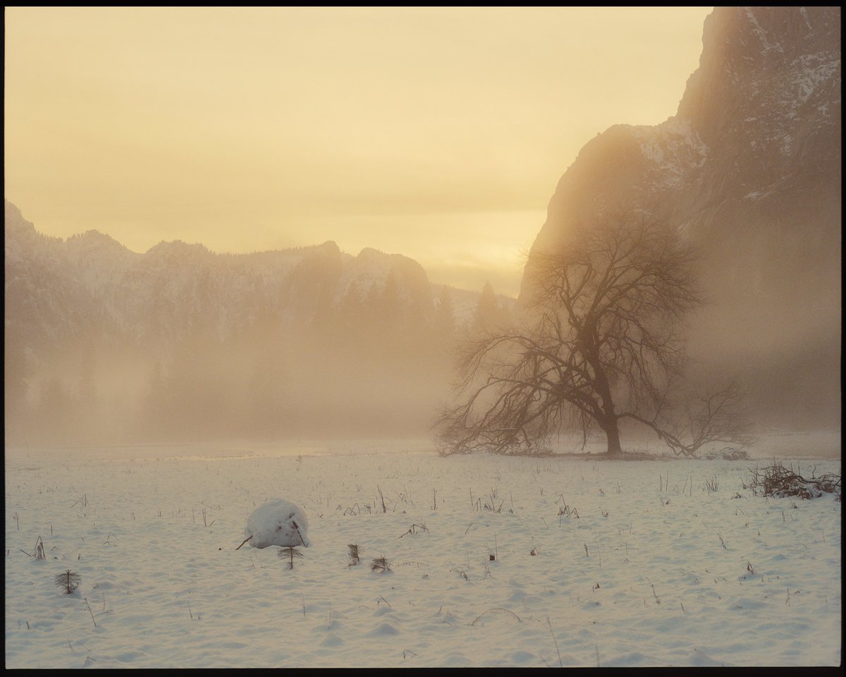 nickjrufo's tweet photo. A day in yosemite https://t.co/UXrbgiroyJ
