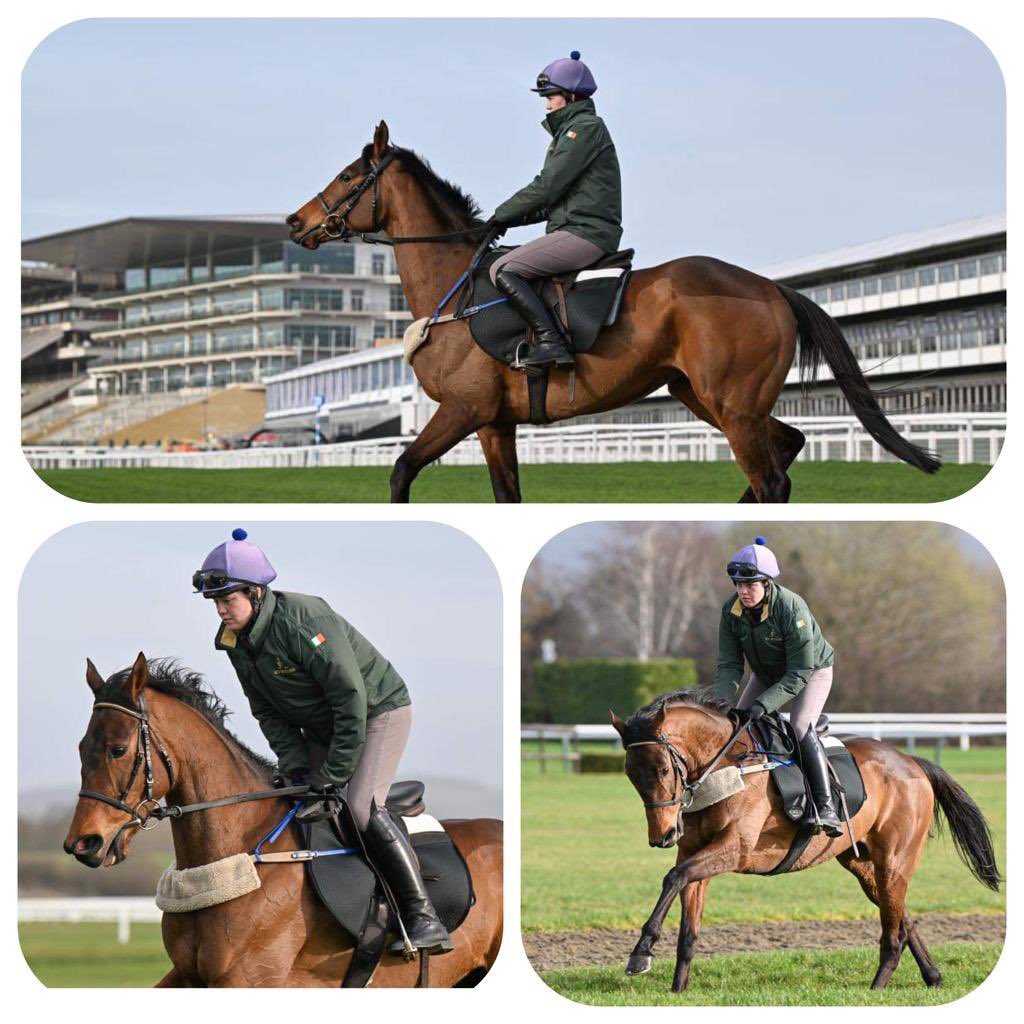 Closutton Racing Club tweet media