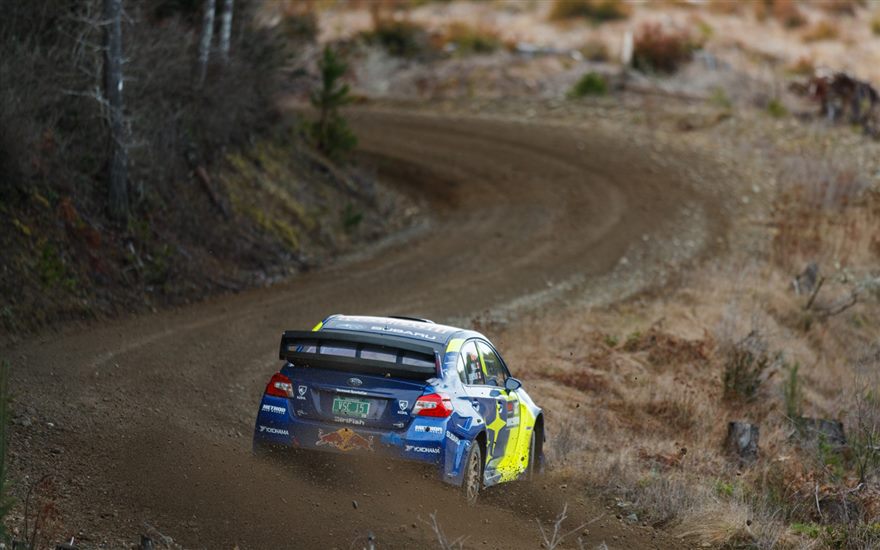 LouFuszSubaru's tweet photo. Stop by Lou Fusz Subaru St. Peters starting March 15th and check out our Subaru Motorsports USA Rally Display. You won't want to miss this event!

#subarumotorsportsusa #loufuszautomotivenetwork #loufuszsubaru #subarurally #Wearestlouis #fuszfamily #subaru https://t.co/L49jq2TFNt