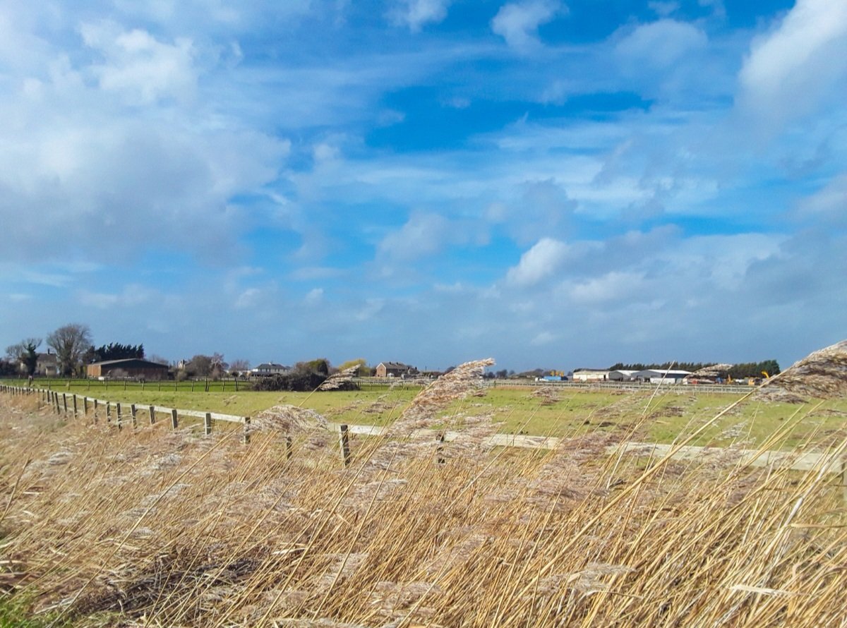 chris_alpacas's tweet photo. Delighted to get a BBC Editors Pick for my windy walk this afternoon. Thank you Julie and @bbcweather #WeatherWatcheralpacalady #thefens #flatnotboring! https://t.co/lezZ9LiJGe