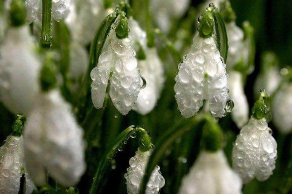 Twenty seven years ago today...

Thinking of all in Dunblane ...their world changed forever....

Taken from <a href="/thewestwingTV/">The West Wing</a> because the words mean everything....

'...the streets of heaven are too crowded with angels tonight...'  Aaron Sorkin/Jed Bartlett