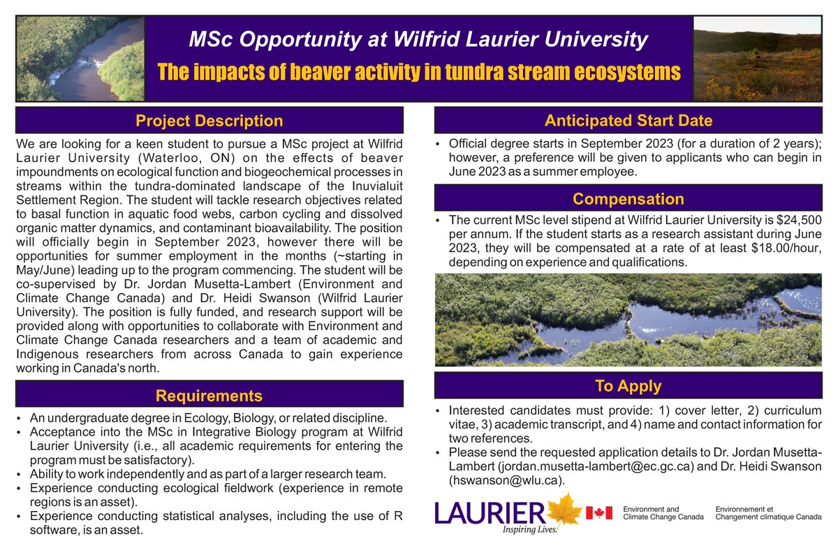 JMusettaLambert's tweet photo. If you're seeking an MSc. studying beaver colonization in tundra ecosystems on stream food web structure, dissolved organic matter dynamics, and contaminant bioavailability, please reach out! Dr. Heidi Swanson @hks_dr &amp; I are seeking a student for fall 23 @LaurierBiology. 🦫🏞️🤓 https://t.co/hSCkEM11lw