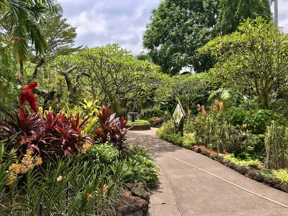 #Top4Green #travel photography for this week’s #Top4Theme

@LiveaMemory
@obligatraveler
@intheolivegrov1

Wildflower boom in central California

Taro farms on Kauai

“Gem of the Sierras” as anointed by John Muir

World’s oldest UNESCO WHS tropical botanical garden