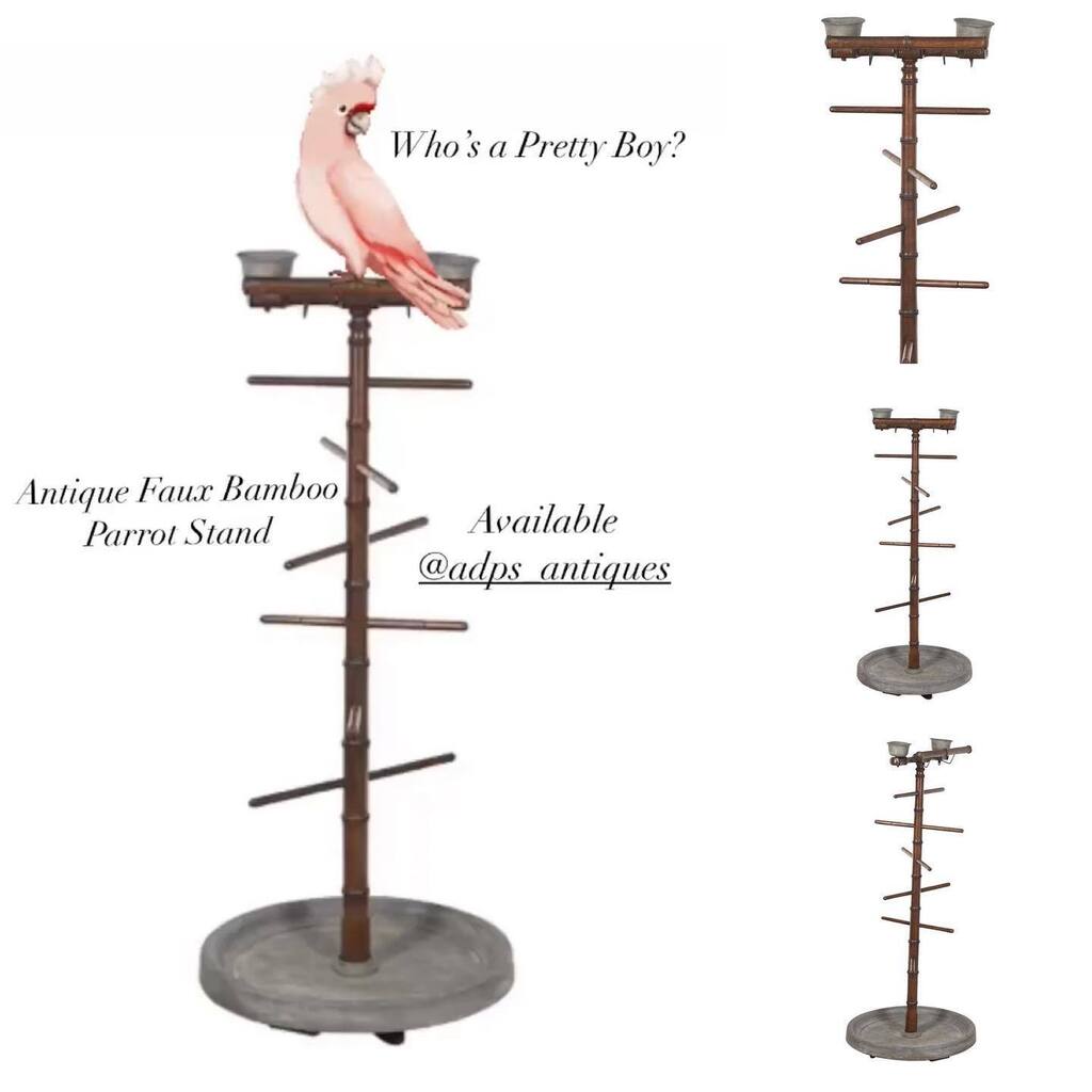 Rare, decorative French, faux bamboo parakeet stand with 13 perches and its original zinc feeders and round zinc tray base. Circa 1900

119cm h x 50cm w x 50cm d

•
•
•

#pollywantacracker #rareantiques #birdperch #parrotperch #whoseaprettyboy #parro… instagr.am/p/CpvYpi-oEuk/