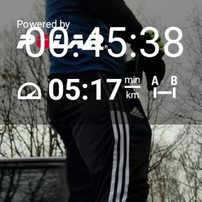 IngoWeber3's tweet image. #PolarBeat