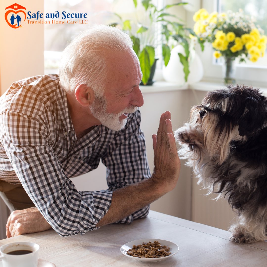 Professional in-home care helps #seniors maintain a sense of independence in a familiar environment among their personal belongings and loved ones. 🐾

VASafeSecureHomeCare.com 

#caregivers #HomeSweetHome #agingathome #seniorcare #nurse #NorthernVirginia #potd