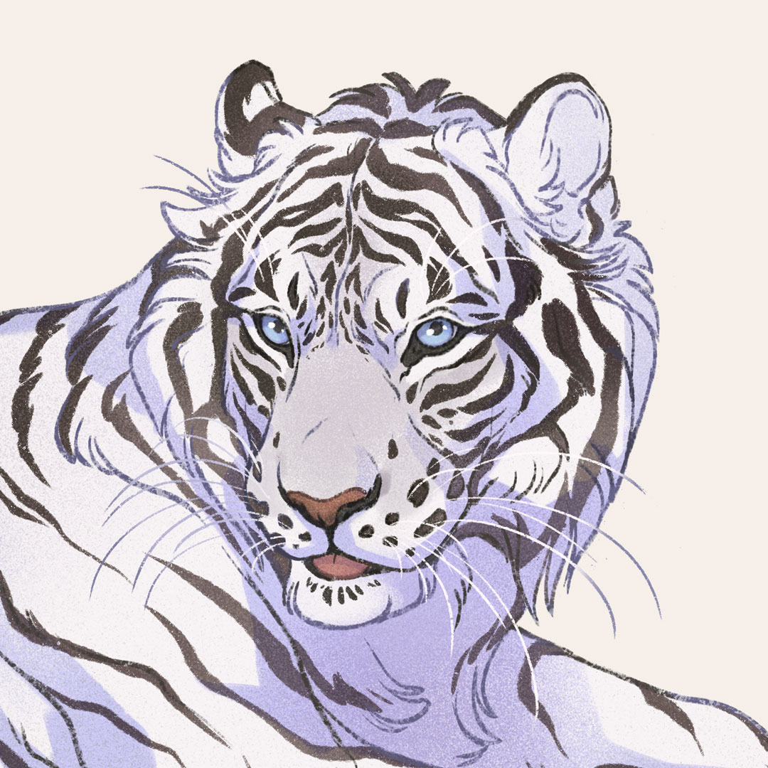 「Another tiger? What a surprise!This is t」|Nora Potworaのイラスト