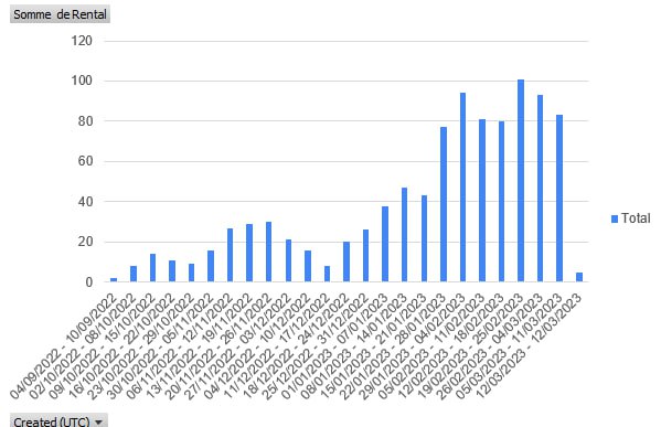 💥 Rental Report 💥
#Optimistic