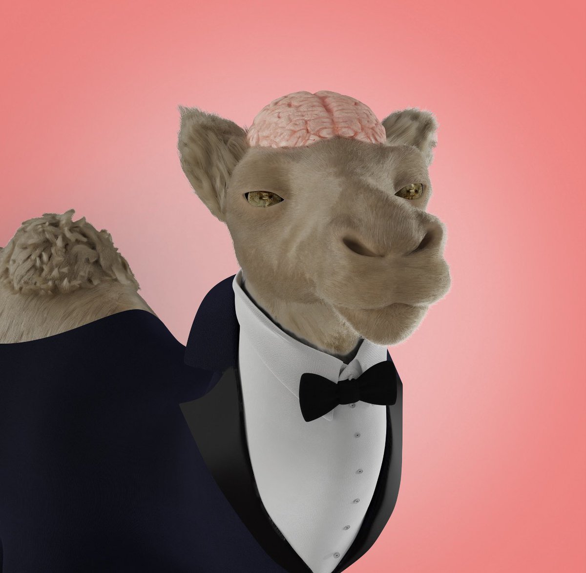 Camel Club: 3D | Launching Soon 🐪 tweet media