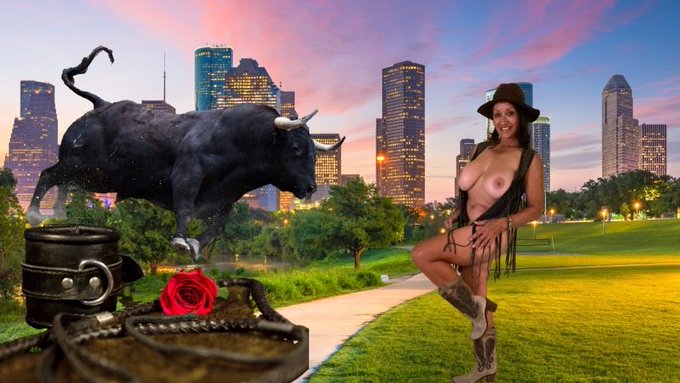 I hear it is rodeo season in Houston Texas so I&rsquo;ll be coming to ride the ball April 9 through the 12th