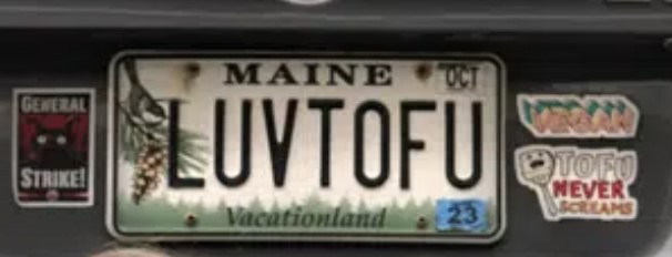 garybryanshow's tweet photo. This license plate got flagged as obscene. Uh... https://t.co/Bt0CX5WqNz