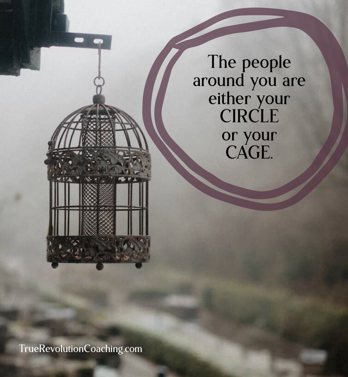 The kind of people we surround ourselves with is vital. I’m so over cages. 😉 Choose wisely. 
#innercircle #circle #choosewisely #cagefree #peace #careful #wellbeing #connection #boundaries #health #healthy #relationships #people #friends #family #live #life #lifecoach #influence