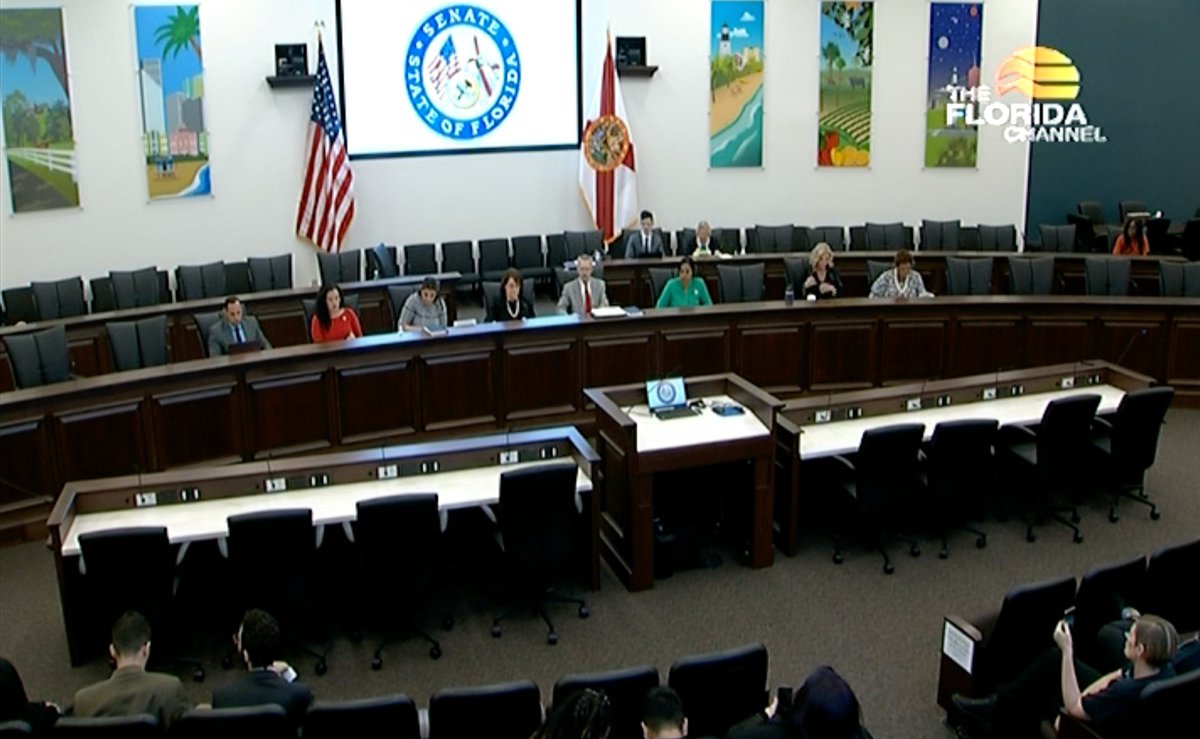 ErinInTheMorn's tweet image. Happening now, Florida's Senate Health Policy committee is considering Florida SB254, which could result in a loss of custody for parents affirming trans kids, and which will ban gender affirming care for trans youth.
It's a disgusting bill. Follow live with me. 🧵