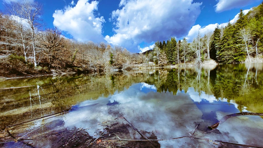 latiumvolcano's tweet photo. C'è un posto nel #lazio dove si aprono scenari alpini con #laghi #carsici e foreste di #conifere, ma in realtà siamo semplicemente nell'incantevole @ParcoLucretili
#laghetti #percile #latiumvolcano https://t.co/d6V14Adi9e