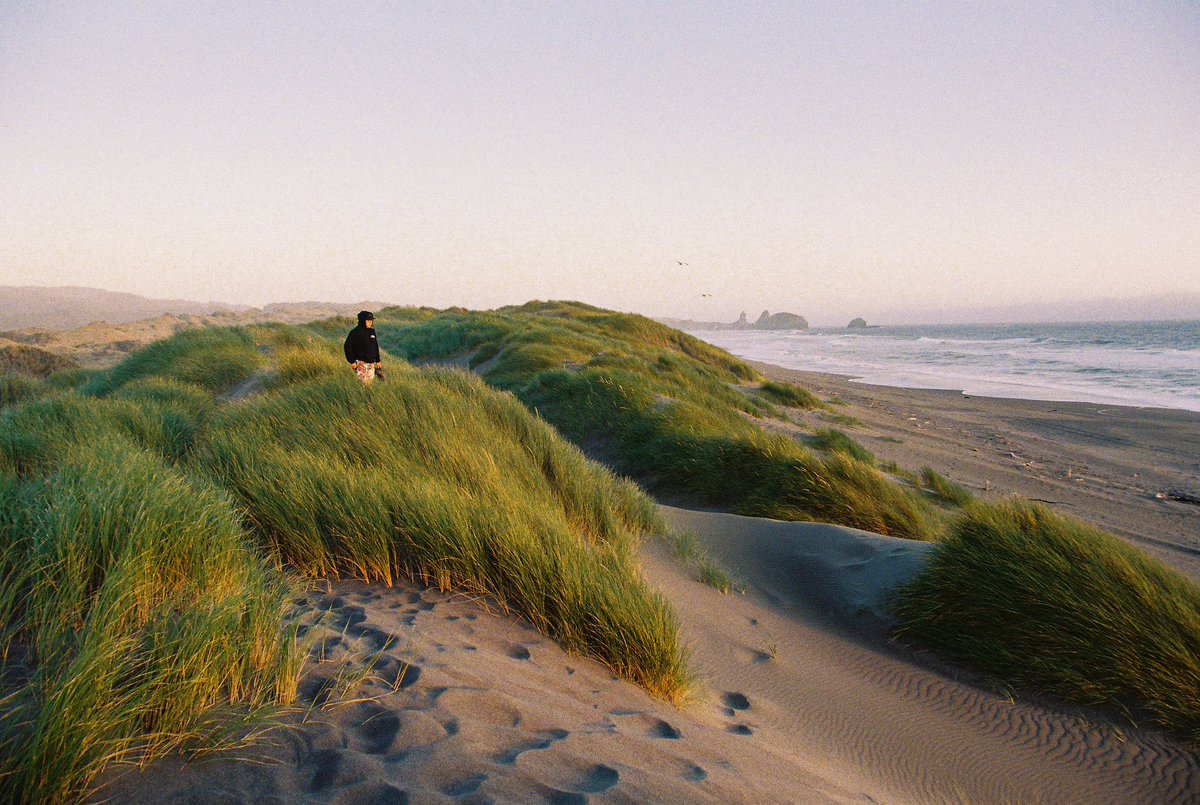 bradmbaldwin's tweet photo. Nights on the coast in southern Oregon 🎞️ https://t.co/3uHmHeD0Y4