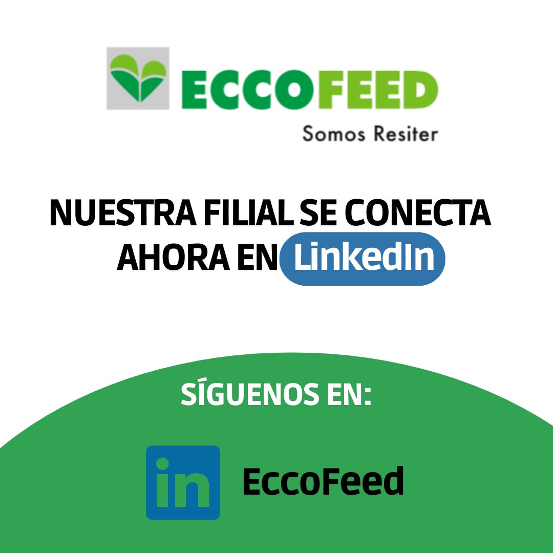 resiterchile's tweet photo. EccoFeed, filial de Resiter, ya está disponible a través de LinkedIn. En esta red social, EccoFeed dará a conocer el trabajo que realiza haciendo realidad la economía circular, valorizando productos provenientes de la industria de los alimentos. Por un planeta más sustentable 🌱 https://t.co/6yG1S2MzdL