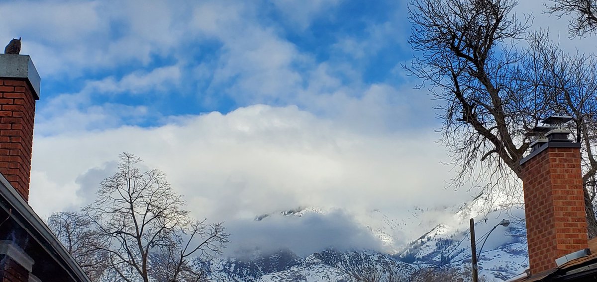 Urbanaro tweet media