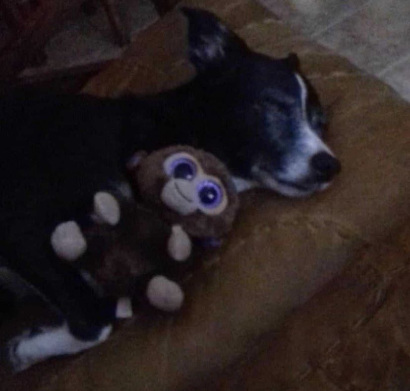 grajauex tweet media