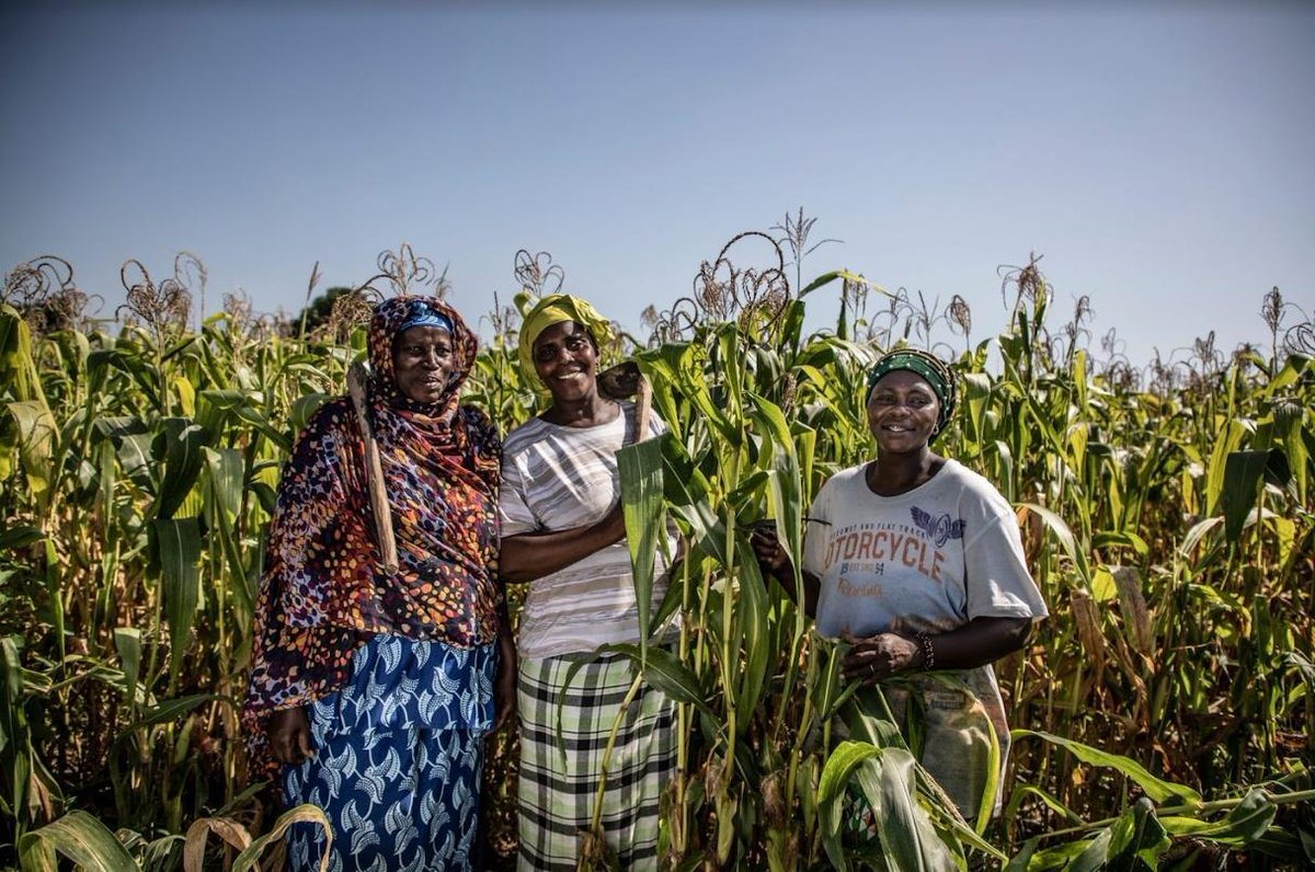 MySupermarket Compare tweet media