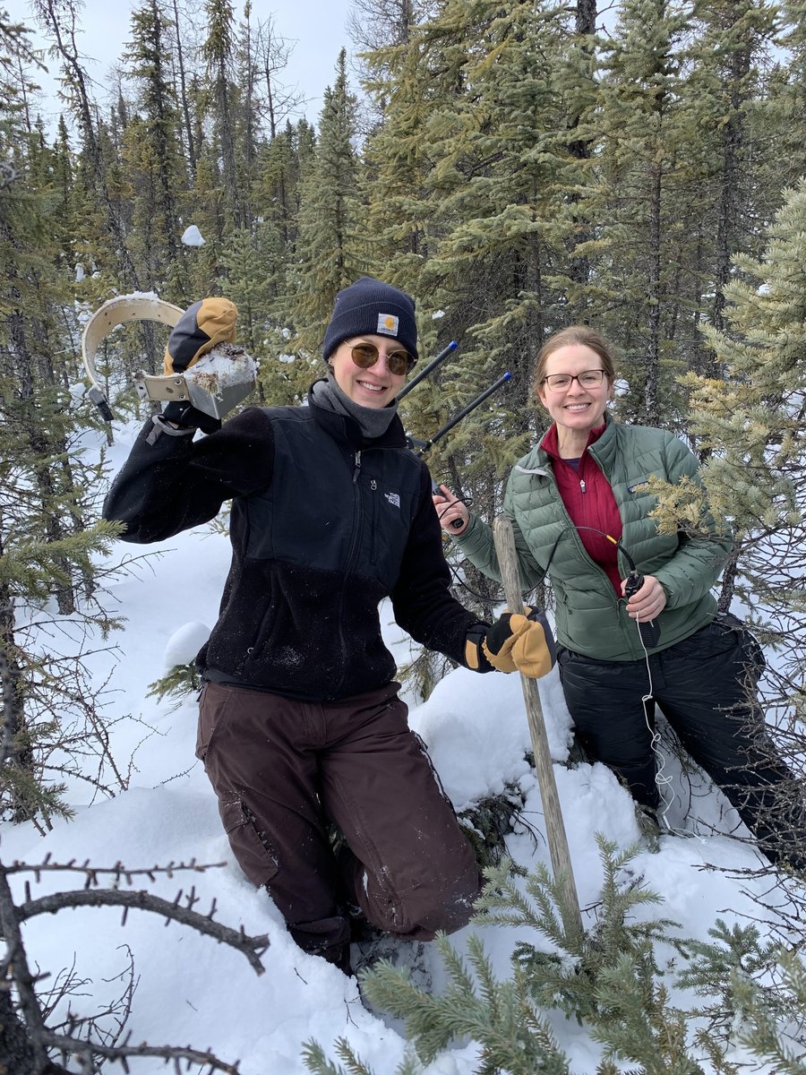 Roosevelt_ESF's tweet photo. @sunyesf and RWLS members @ChloeBeaupr1 (pictured below!) and Dr. Ophélie Couriot have been up north joining project partners at @GNWT_ENR surveying boreal caribou and retrieving GPS collars! Check out @FateOfCaribou for more information and project details!❄️ https://t.co/7wXX17YtnZ