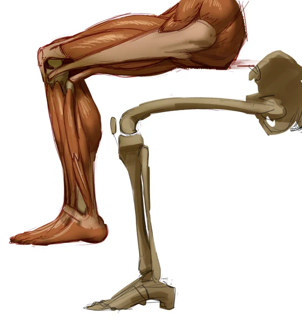 lots of legs. so much to learn aaa 