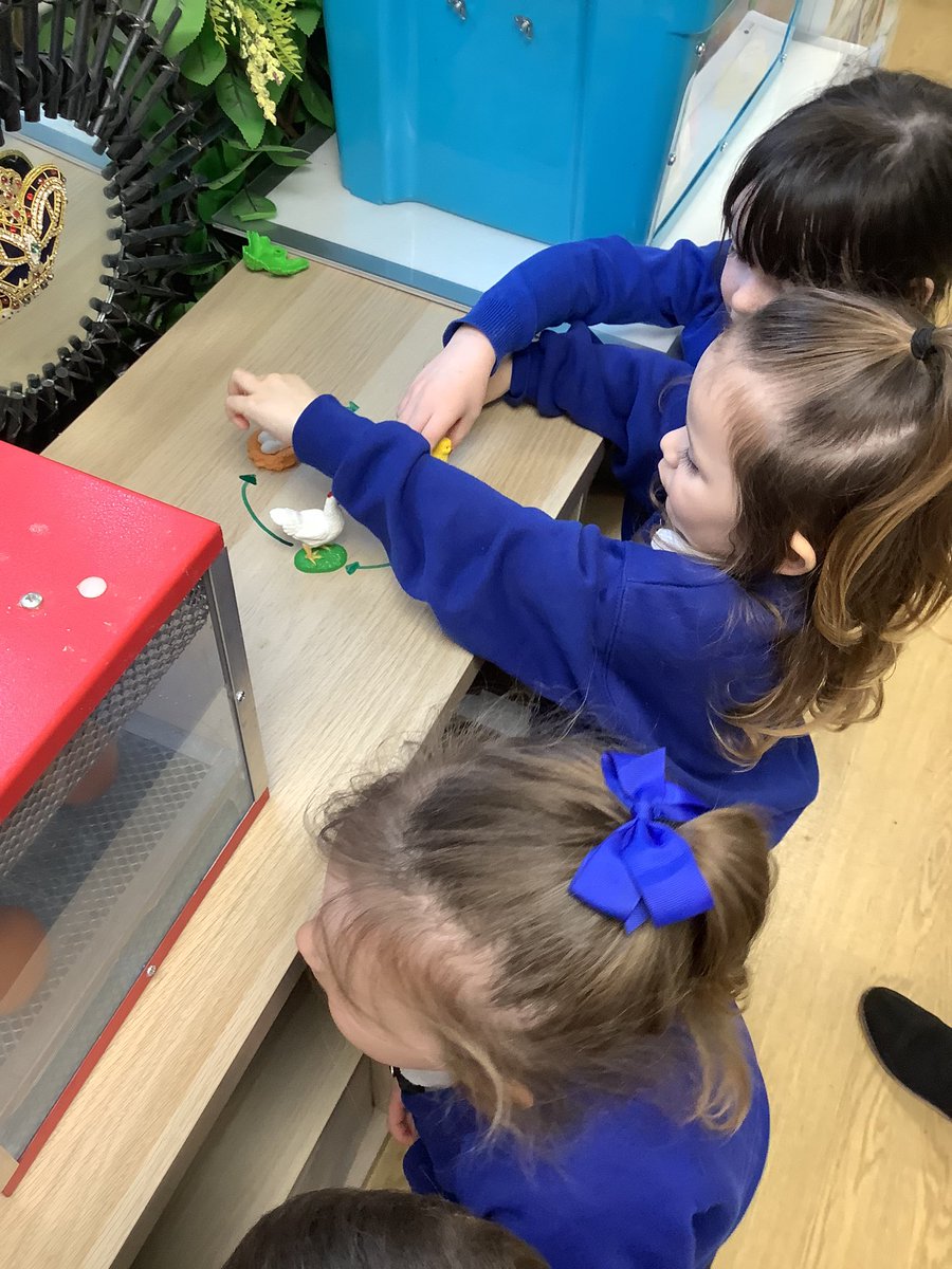 RPS_Acorns's tweet photo. Welcome to the Acorns family, we are so excited to watch you grow π₯π£π₯ @Riverside_Pri https://t.co/FurHpuoqXf