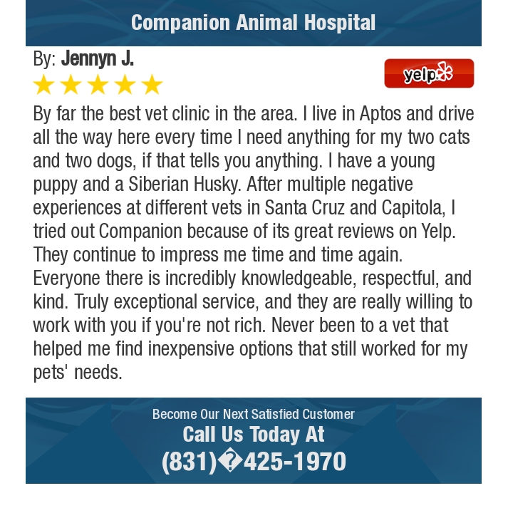 CompanionPetVet's tweet photo. 5 Star: Jennyn J. "By far the best vet clinic in the area. I live in..." https://t.co/hqxuw1MI7z https://t.co/cA9mQfTxDR