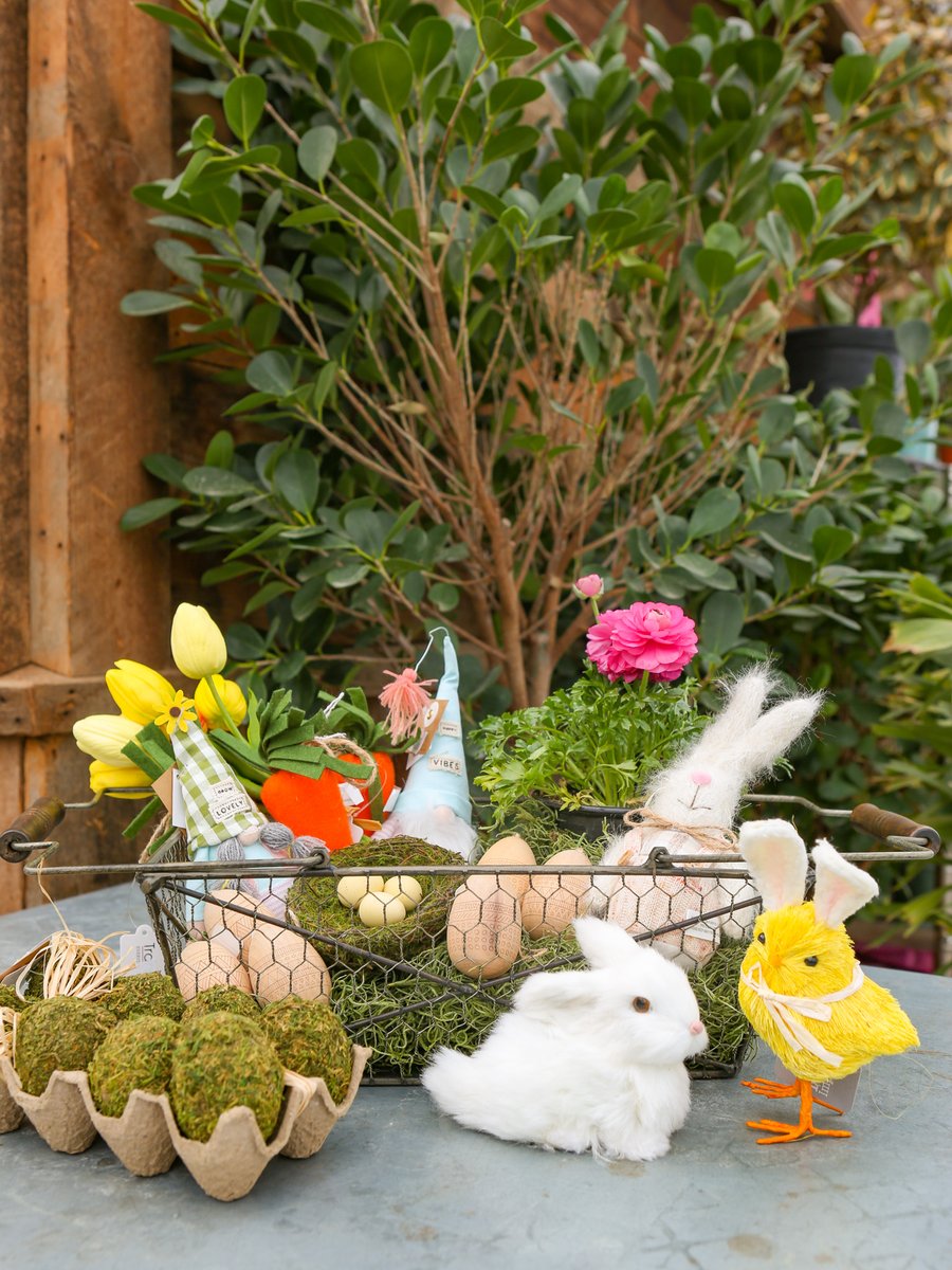 FranzWitte's tweet photo. Spring gifts and decor are IN! You can find all you’ll need to fill your Easter baskets with in our gift shop🤩🐣🐰🧺🌷#spring #easter #eastergifts #giftshop #greenhouse #gardencenter #gifts #Nampa #idaho #boise https://t.co/TWDcePvq2S