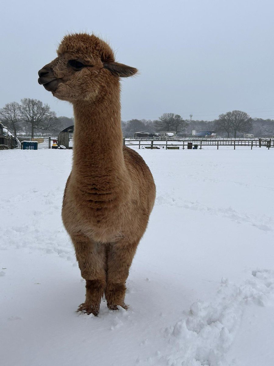 Riverside Education tweet media