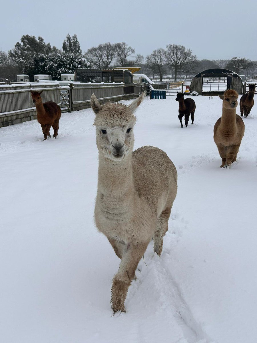 Riverside Education tweet media