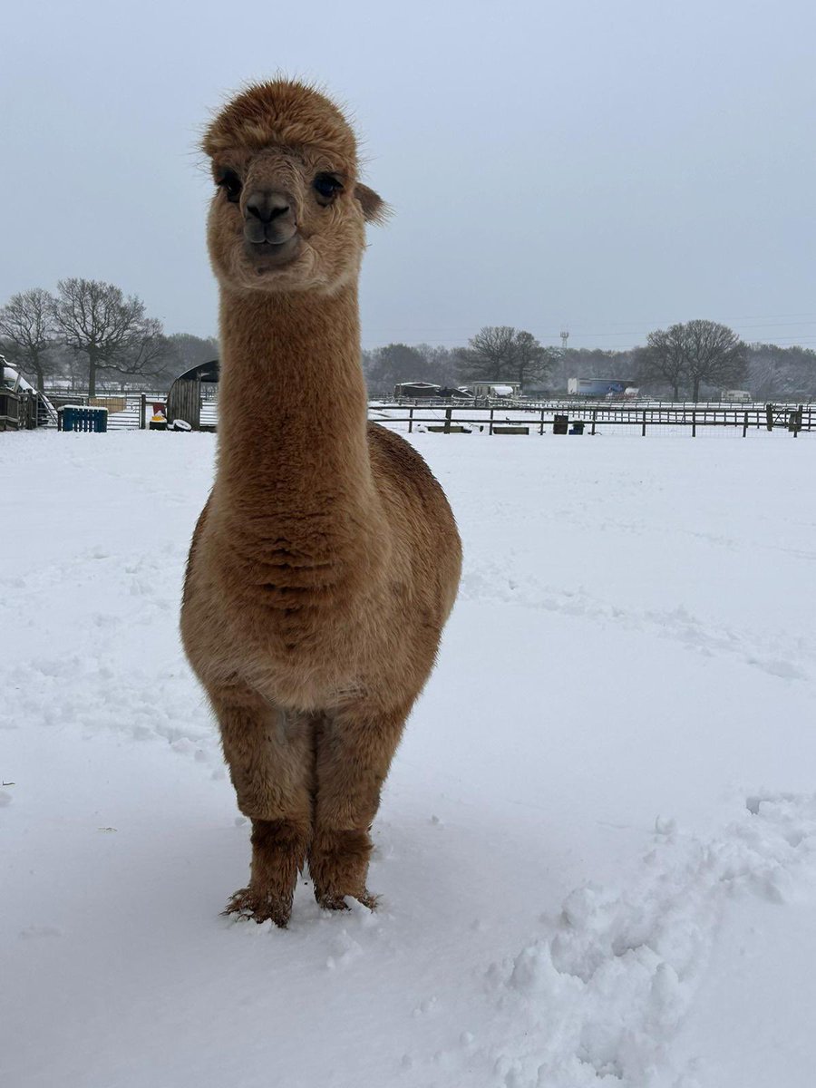 Riverside Education tweet media