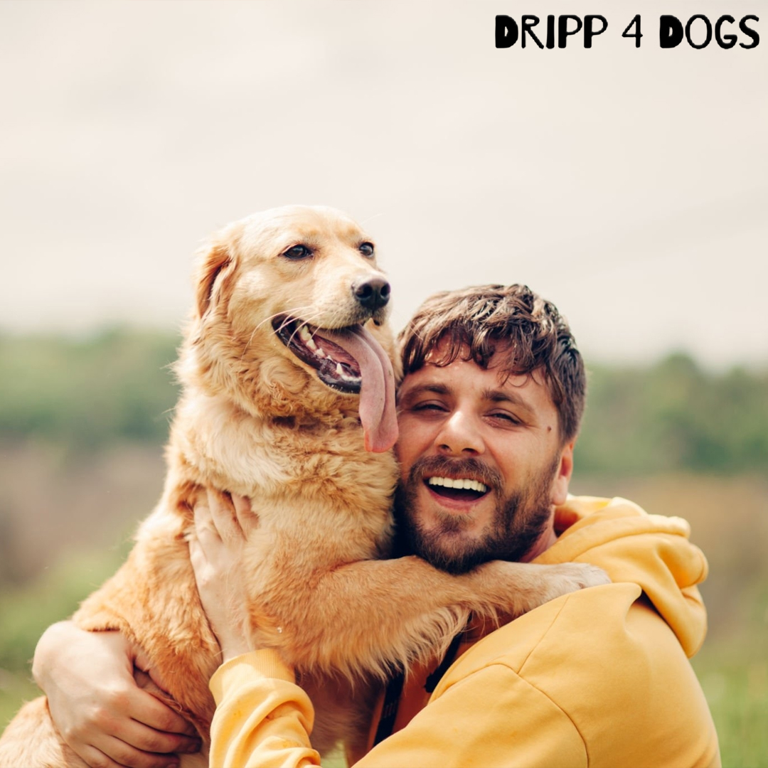 𝗞𝗲𝗲𝗽 𝘆𝗼𝘂𝗿 𝗳𝘂𝗿𝗿𝘆 𝗳𝗿𝗶𝗲𝗻𝗱 𝗰𝗼𝘇𝘆 𝗮𝗻𝗱 𝘀𝘁𝘆𝗹𝗶𝘀𝗵 𝘄𝗶𝘁𝗵 𝗗𝗿𝗶𝗽𝗽𝟰𝗱𝗼𝗴𝘀! 𝐕𝐢𝐬𝐢𝐭 𝐔𝐬! --- 🛒 dripp4dogs.com --- #doghoodies #dogaccessories #cutepets #doggie