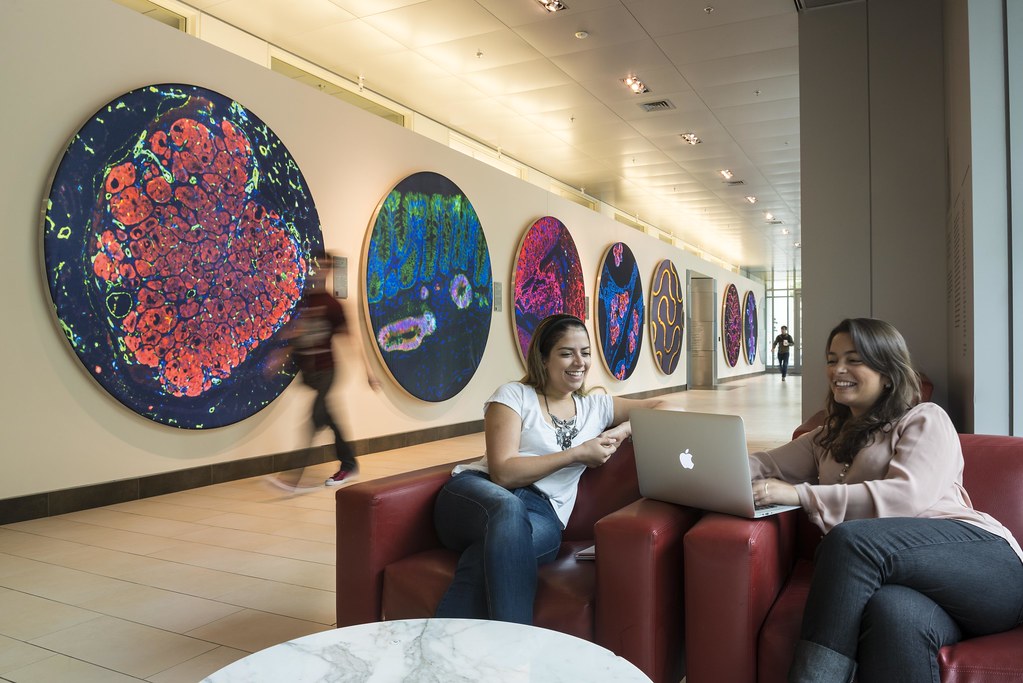 MIT Human Resources tweet media