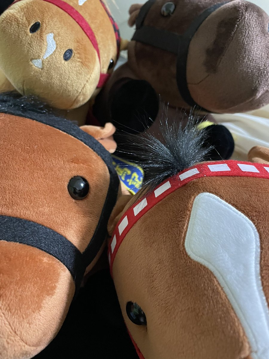 SSS____0715's tweet photo. テオくん4体結構ゲットした
まだまだ増やしたい🐴 https://t.co/hPk8KLwcZd