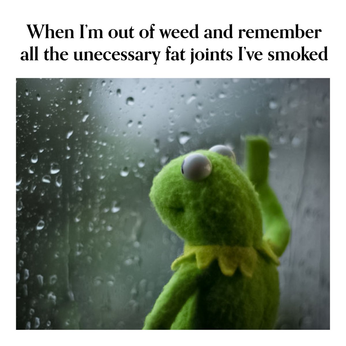 Should have known better🥲
#weedmeme #weedsmokers