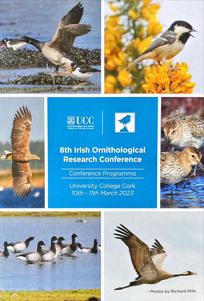 A brilliant weekend at the 8th Irish Ornithological Research Conference at <a href="/UCC/">UCC Ireland</a> where I had the pleasure of presenting a poster on our ongoing study into #AvianInfluenza &amp; #AMR. So many outstanding talks highlighting the range of avian research in Ireland! #CORC23 <a href="/IrishResearch/">We are now Research Ireland</a>