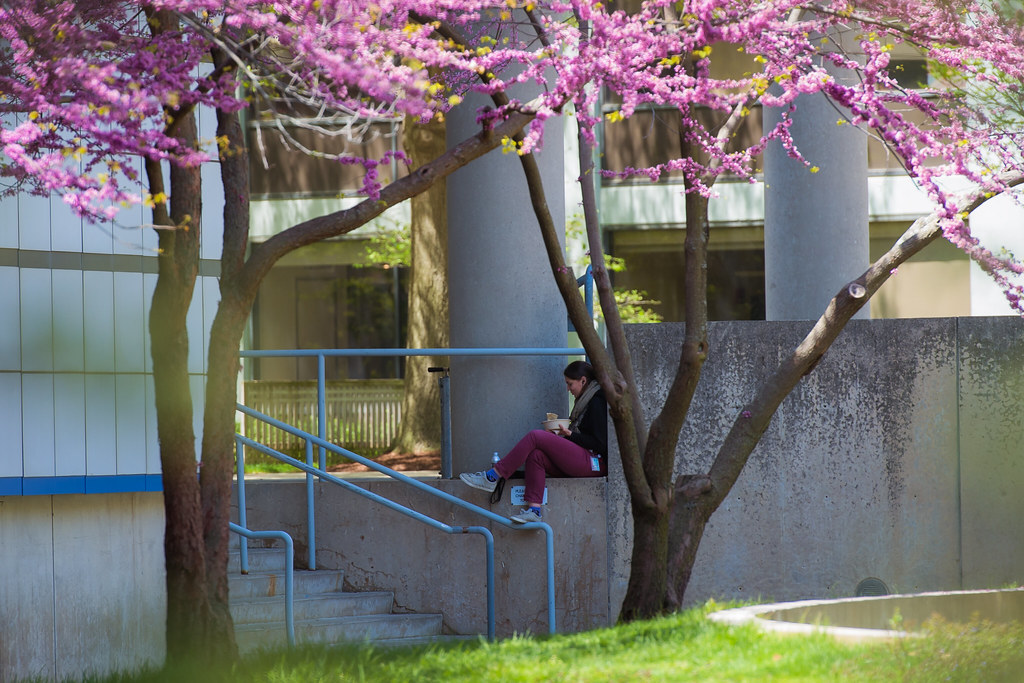 MIT Human Resources tweet media