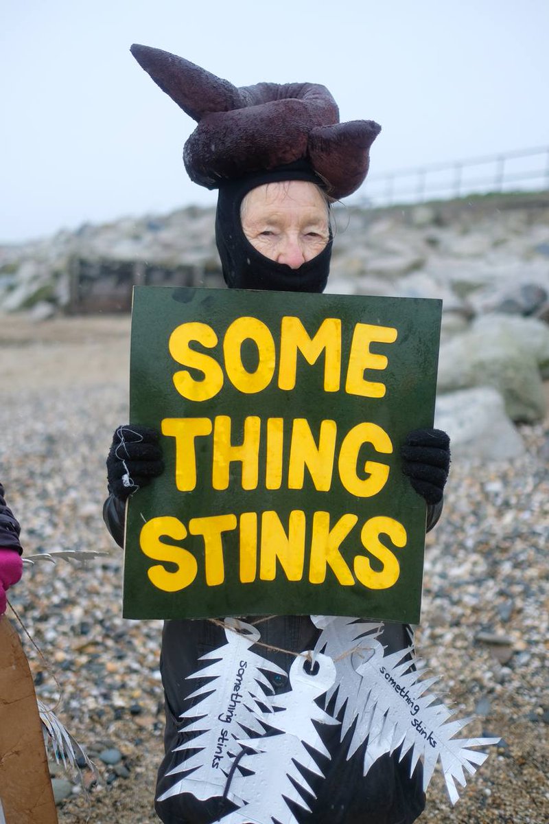 XRSouthWest's tweet image. Protestors in Penzance yesterday at Long Rock beach, which is the site of a @SouthWestWater sewage outlet. It was marked 'unsafe to swim' because of poo-llution💩. #cutthecrap #dirtywater #dirtyprofits Photos: Gavan Goulder  @Feargal_Sharkey
