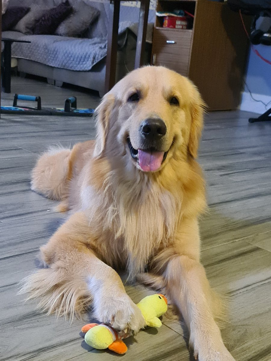 9816O911's tweet photo. blessing your timelines with bimbo pogi dump 😌 emjoy https://t.co/AlFu79c4TT
