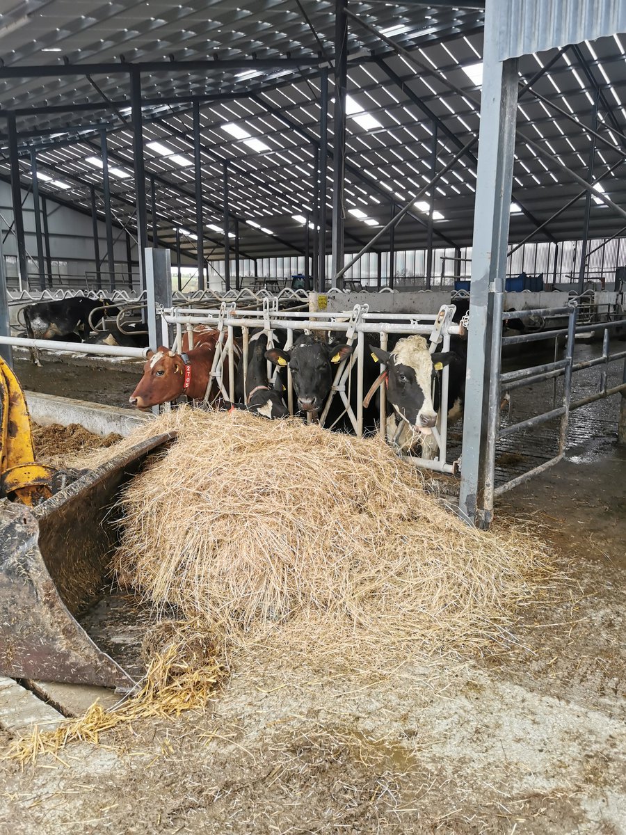 AeiCommercial's tweet photo. Full week of farm visits this week, all across the country with farmers looking to avail of the TAMS3 60% solar PV grant. Why not get in touch to see how much we can save you! #solarpv https://t.co/5IZ8RVa7hV