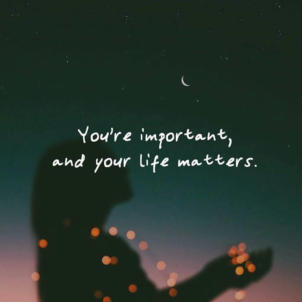 TheWealthZone's tweet photo. #BloggingTips #DigitalWarriorFreedomFormula Review the following magnificent quotation https://t.co/us3EO7iAfj