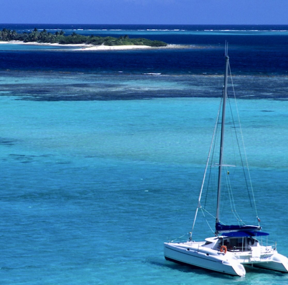 OlivierMilan's tweet photo. Il y a 22 ans à #SainteLucie #marigotbay je m’apprête à monter sur ce bateau avec mes pieds nus et mes cheveux longs. Je ne sais pas encore que ma vie va basculer. #grenadines #tobagocays #amoremio https://t.co/EgWqNAdnRe